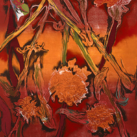 Marigolds 1