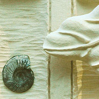 Fossil Leaf 2